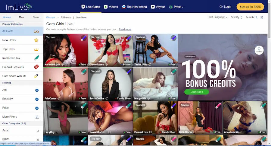 ImLive platform interface preview
