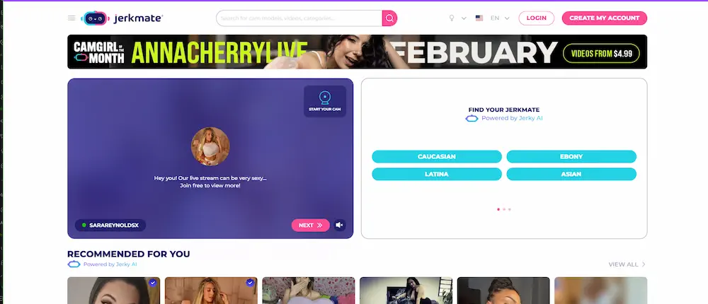Jerkmate platform interface preview